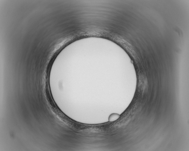 X0000111380578200908211342