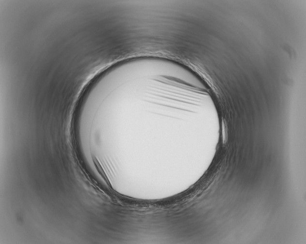 X0000111380579200908211342