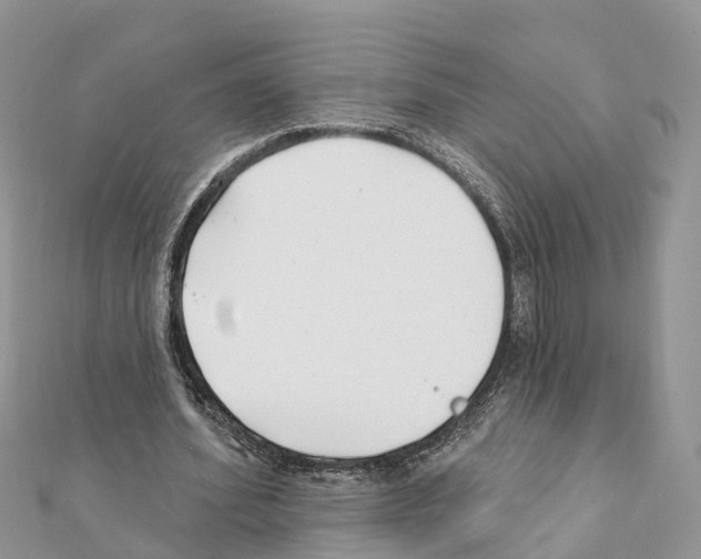 X0000111380580200908211342