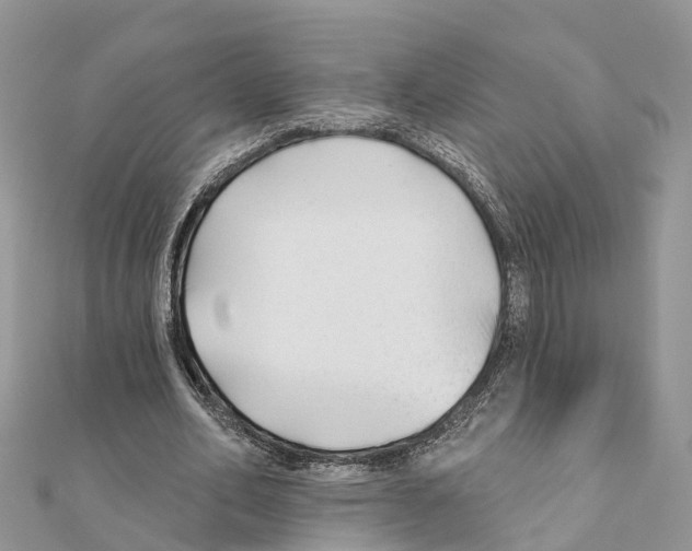 X0000111380582200908211342