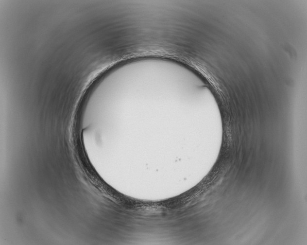 X0000111380583200908211342