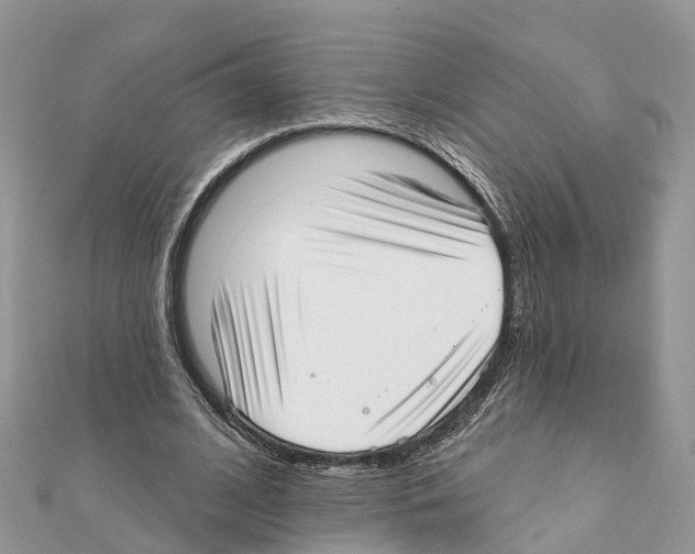 X0000111380584200908211342