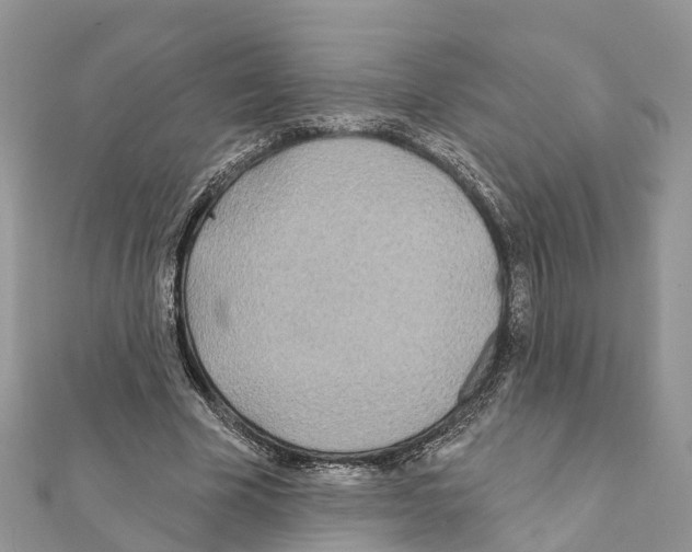 X0000111380585200908211342