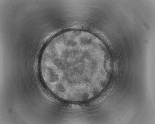 X0000111380588200908211342