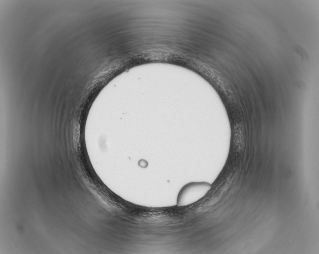 X0000111380589200908211342