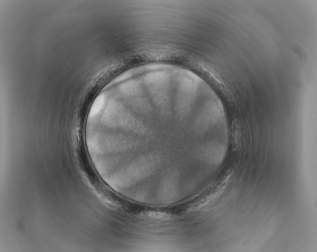 X0000111380590200908211342