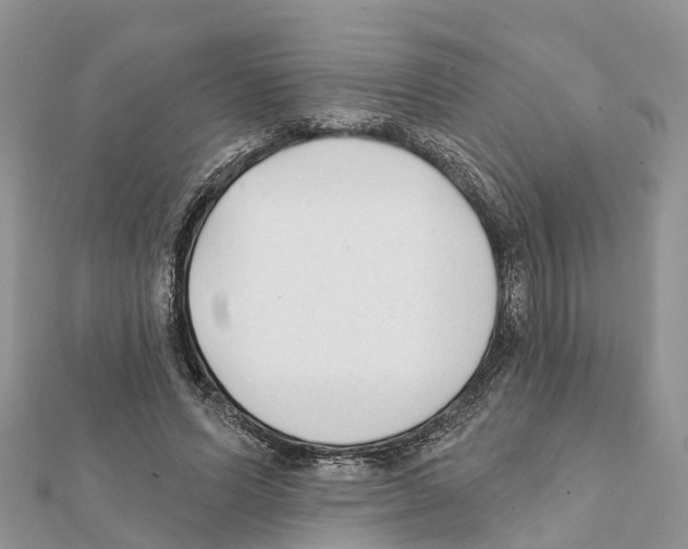 X0000111380591200908211342