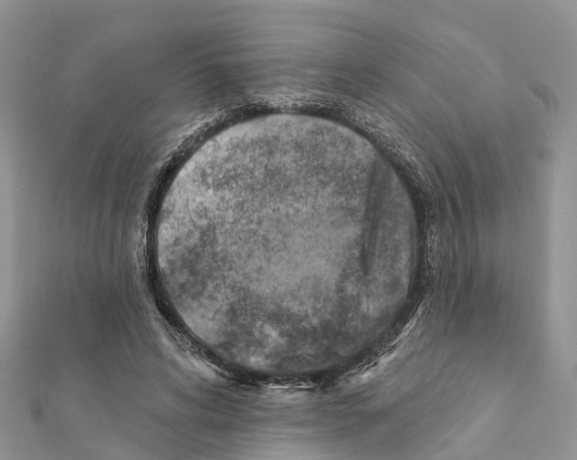 X0000111380592200908211342