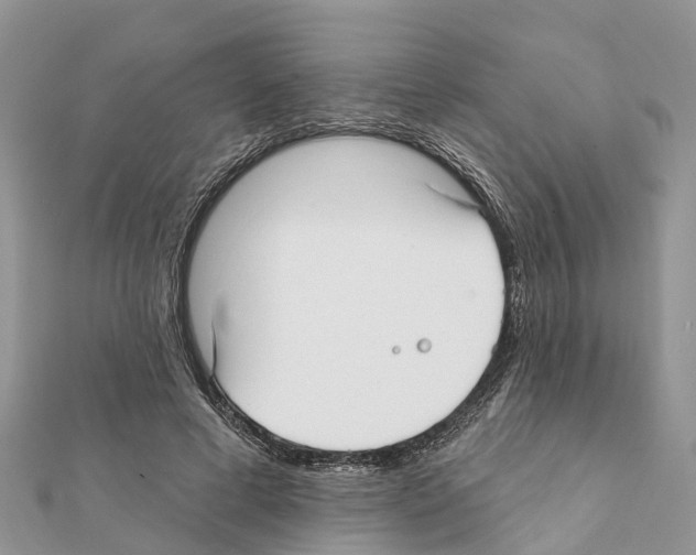 X0000111380593200908211342