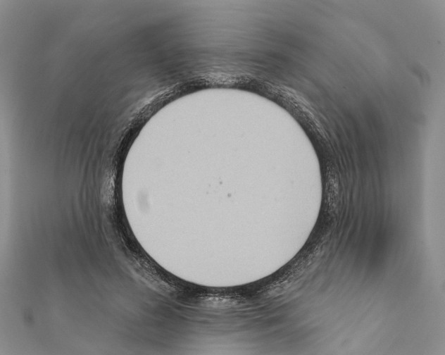 X0000111380596200908211342