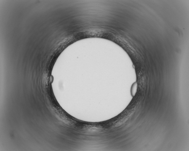 X0000111380597200908211342