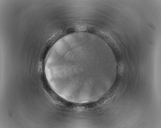 X0000111380598200908211342