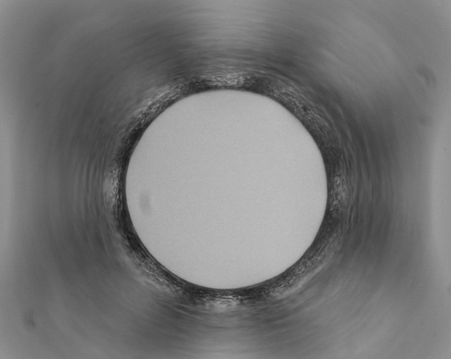 X0000111380600200908211342