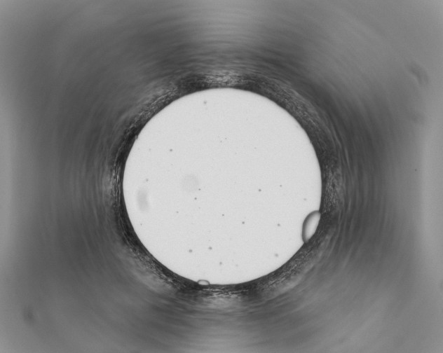 X0000111380601200908211342