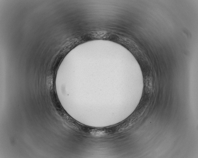 X0000111380602200908211342