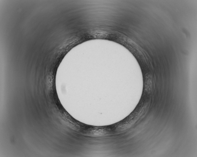 X0000111380604200908211342