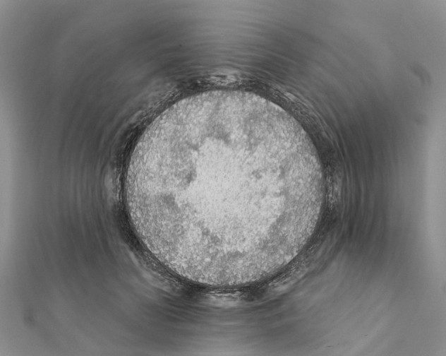 X0000111380606200908211342