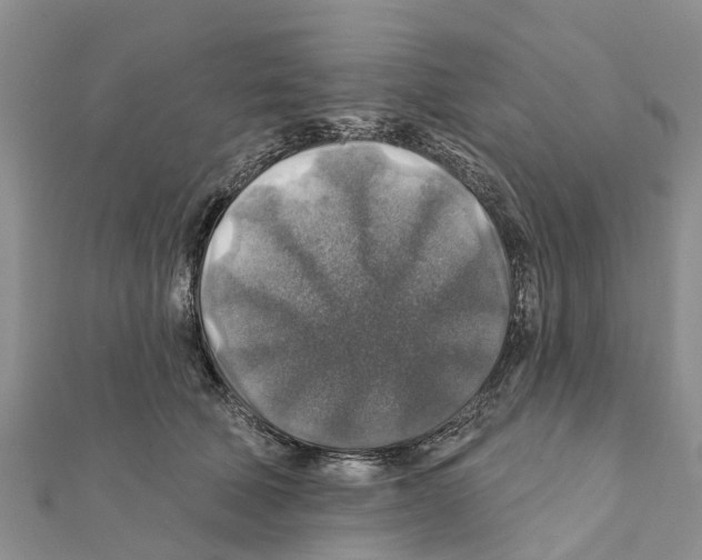 X0000111380610200908211341