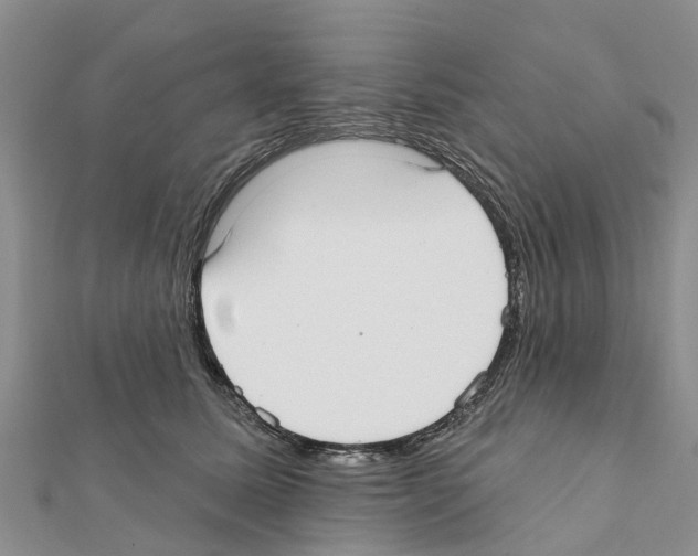 X0000111380611200908211341