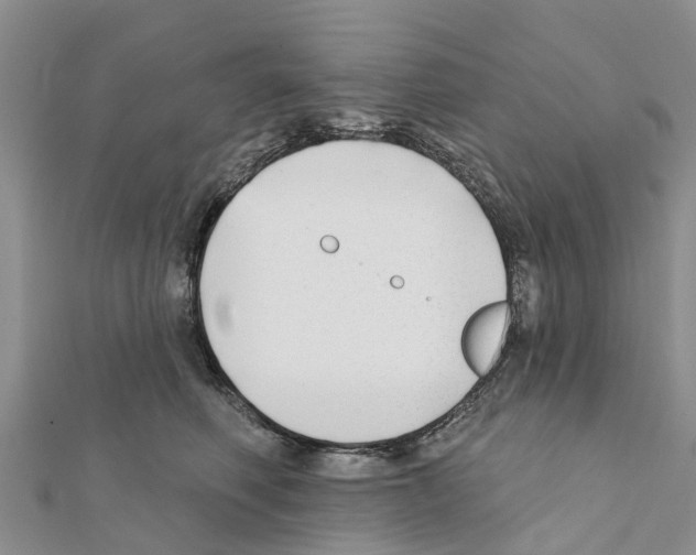 X0000111380614200908211341