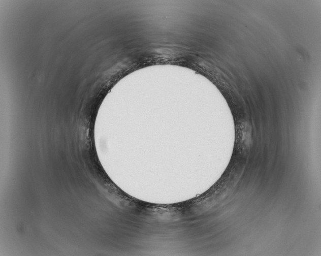 X0000111380615200908211341