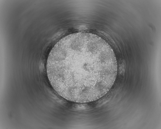 X0000111380618200908211341