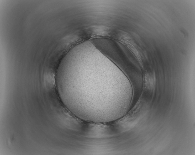 X0000111380621200908211341