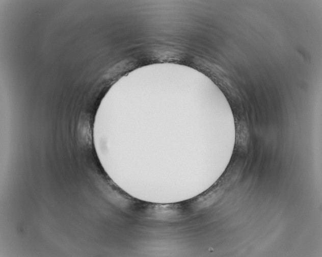 X0000111380622200908211341