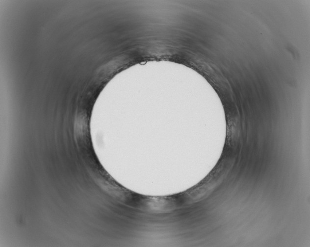 X0000111380623200908211341