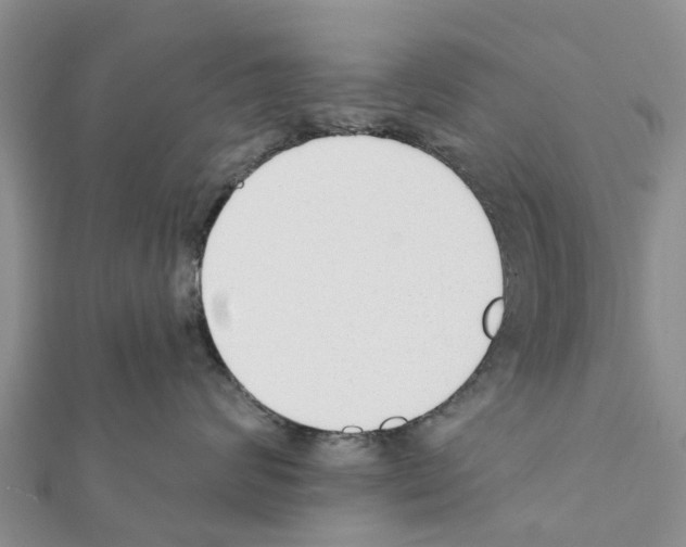 X0000111380624200908211341