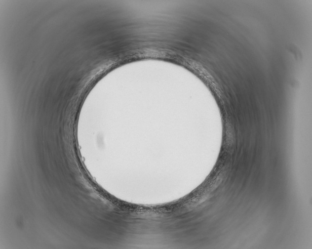 X0000111380625200908211340