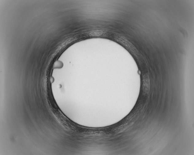 X0000111380626200908211340