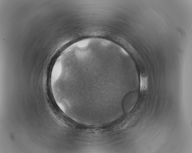 X0000111380627200908211340