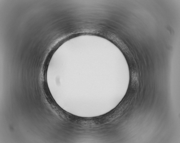 X0000111380628200908211340