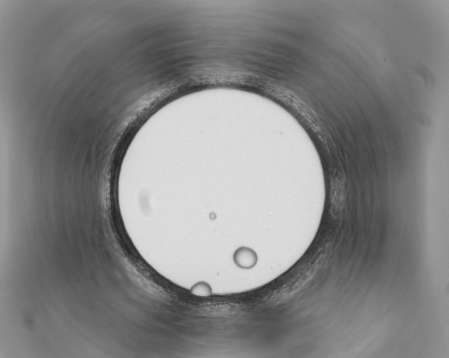 X0000111380629200908211340