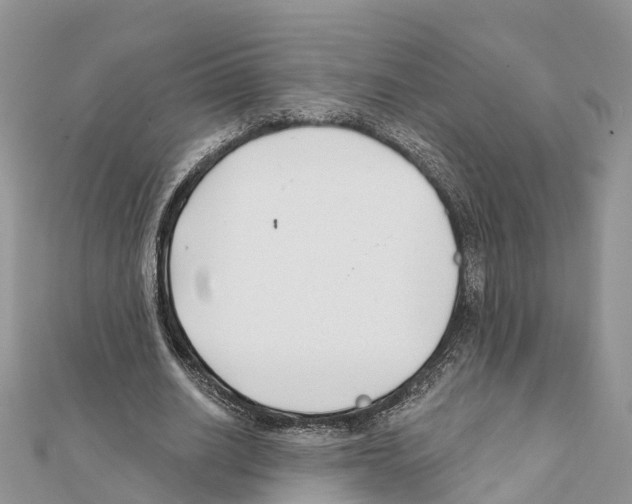 X0000111380630200908211340