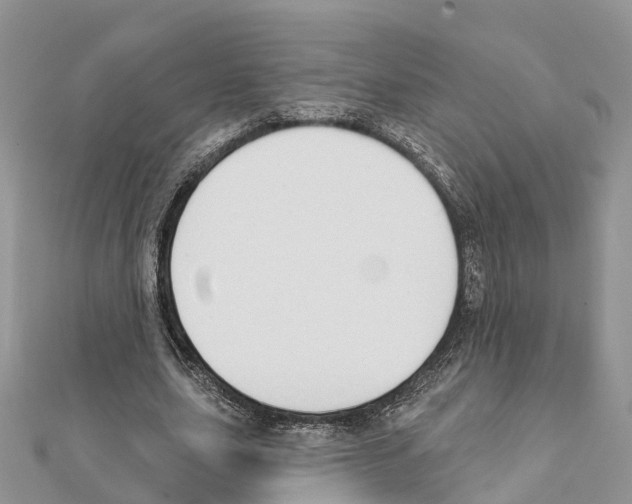 X0000111380631200908211340