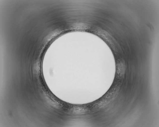 X0000111380632200908211340