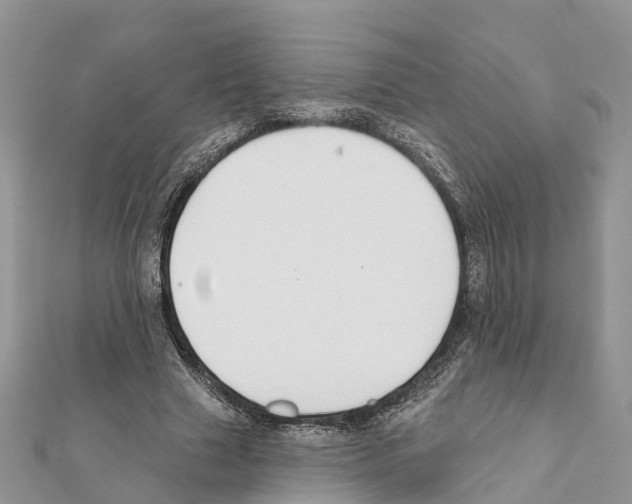 X0000111380633200908211340