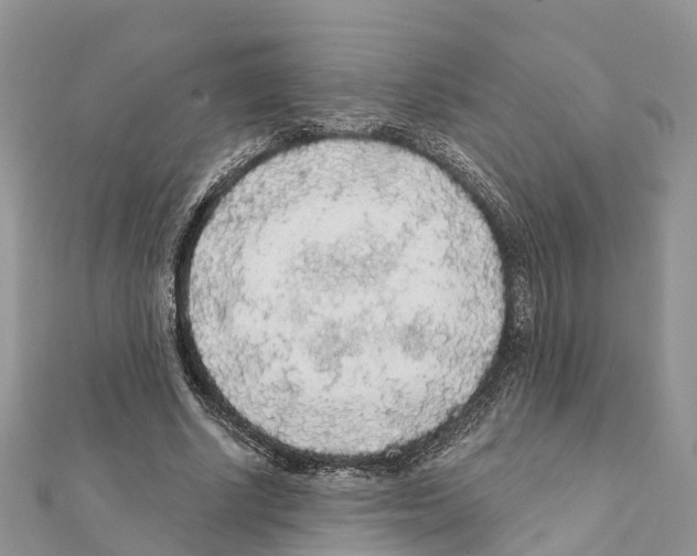 X0000111380634200908211340