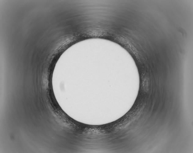 X0000111380635200908211340