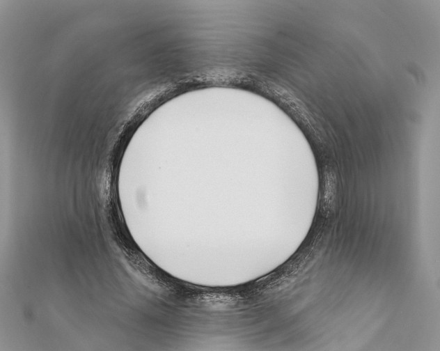 X0000111380636200908211340