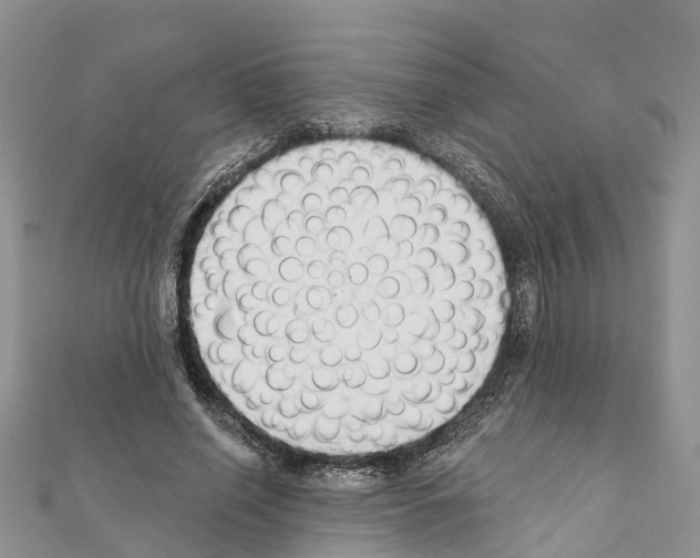 X0000111380638200908211341