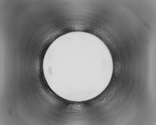 X0000111380639200908211341