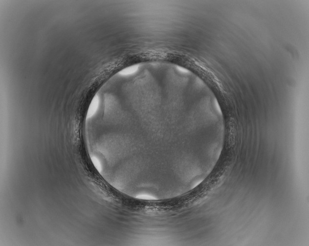 X0000111380641200908211341