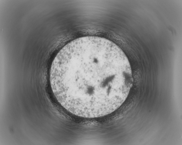 X0000111380642200908211341