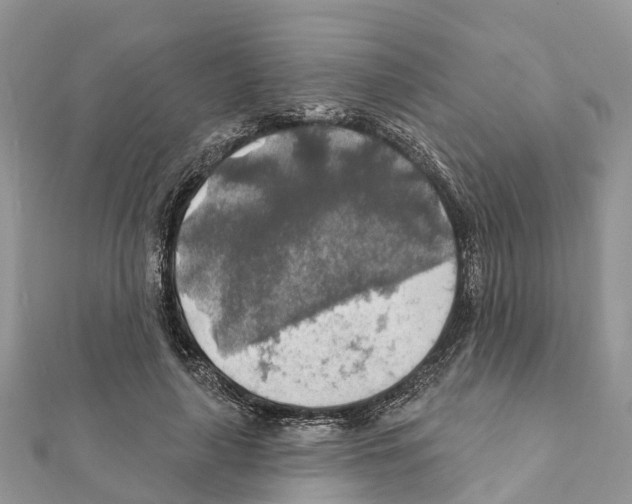 X0000111380643200908211341