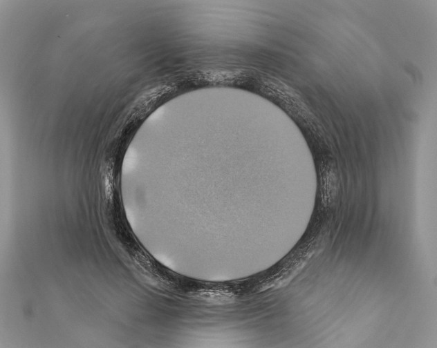 X0000111380644200908211341