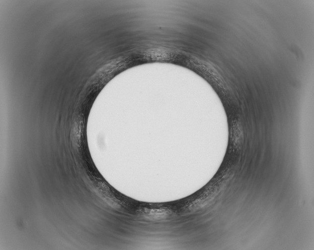 X0000111380645200908211341