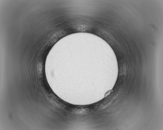 X0000111380646200908211341